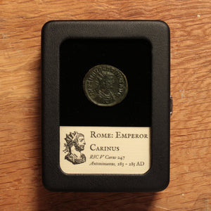 Rome, Emperor Carinus Antoninianus, Aeternitas Reverse - 283 to 285 CE - Roman Empire