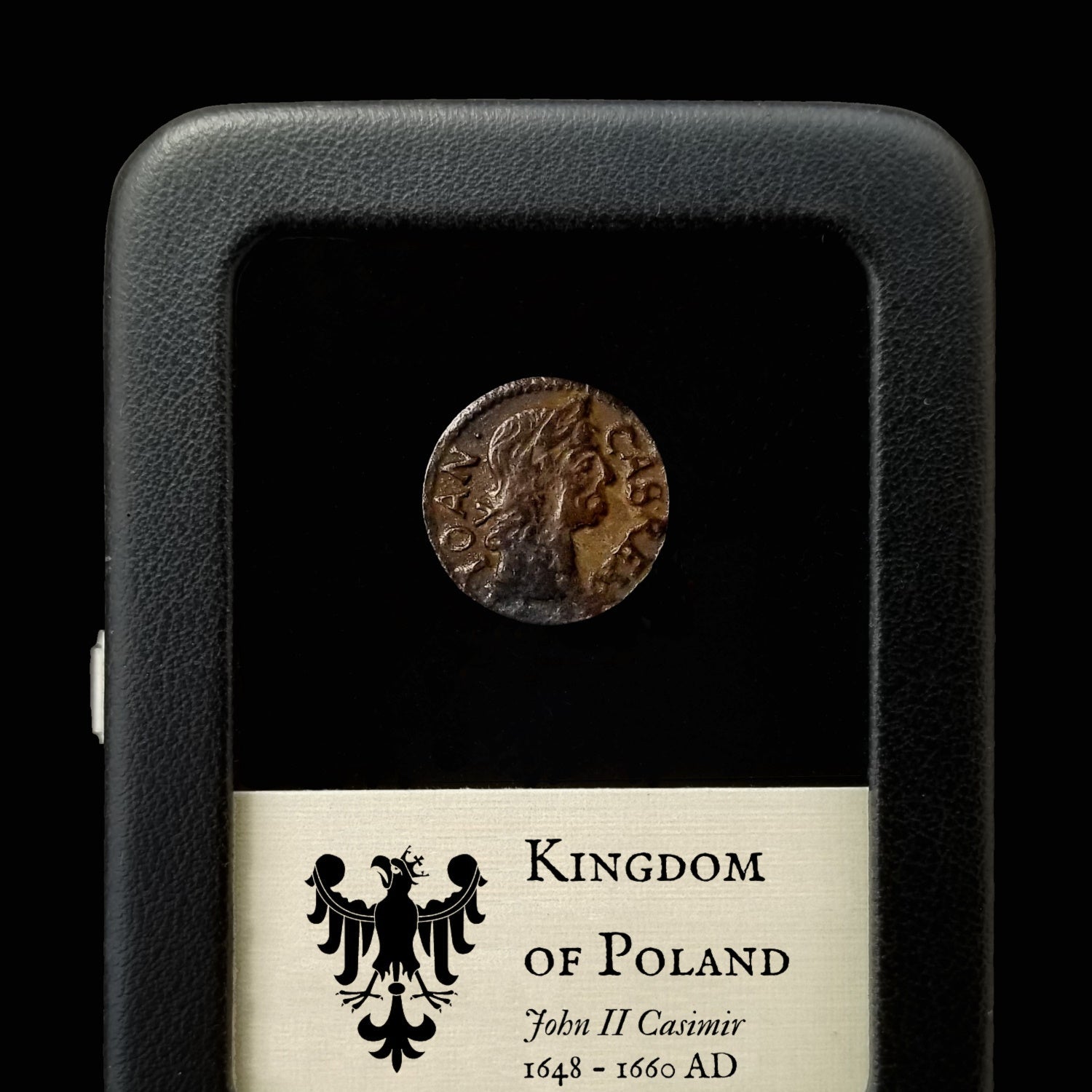 Poland, John II Casimir - 1648 AD - East Europe
