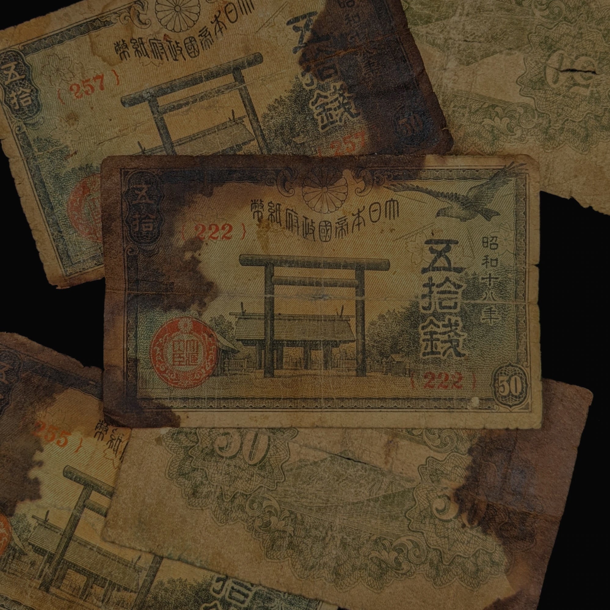 Modern Banknote Collections