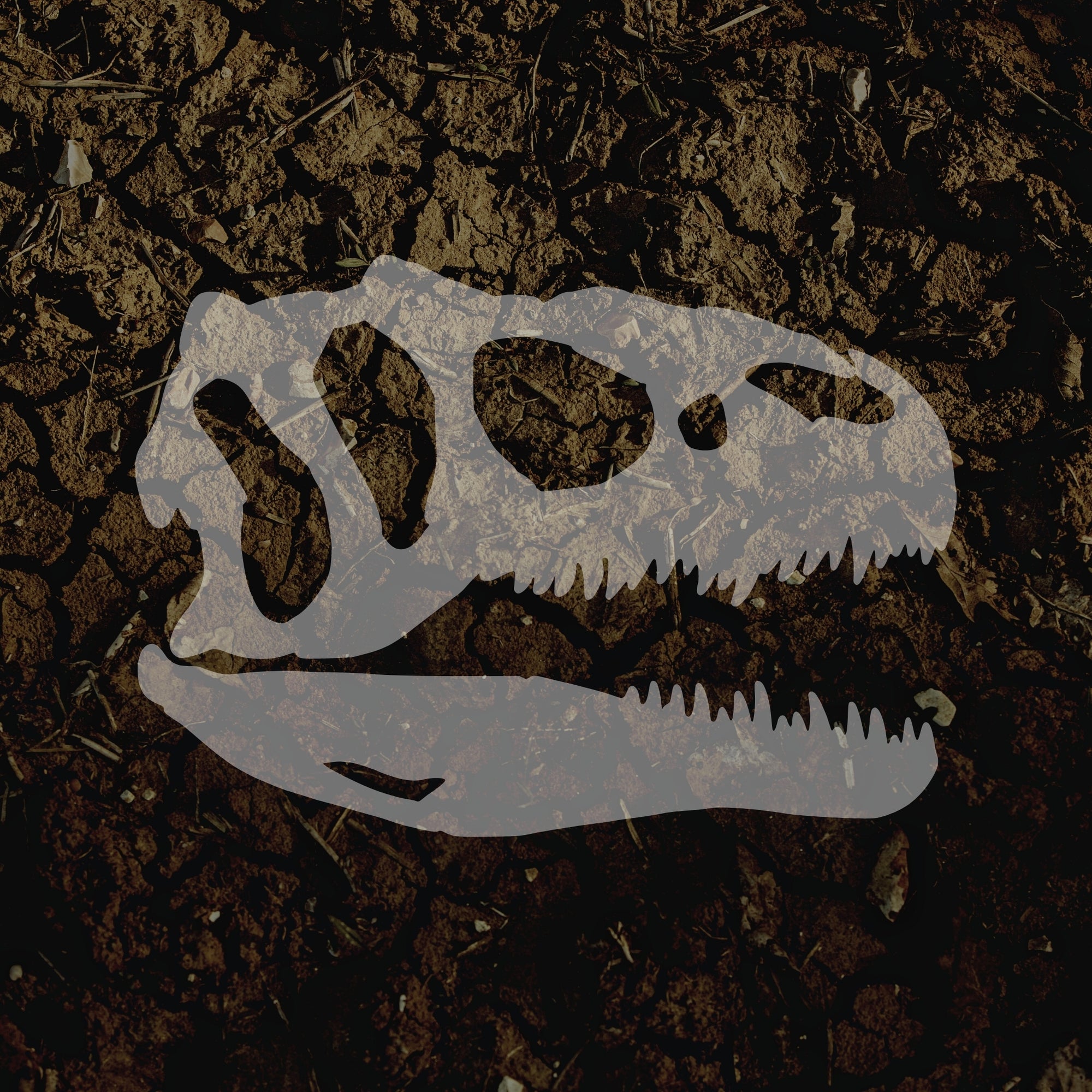 Fossil Hoard
