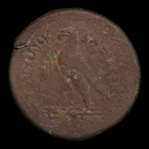 Ptolemaic Kingdom of Egypt, Ptolemy IV Philopator, AE Drachm, Zeus Ammon & Eagle - 222 to 204 BCE - Ancient Egypt