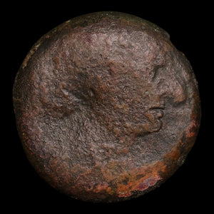 Ptolemaic Kingdom of Egypt, Queen Cleopatra VII, AE Diobol - 51 to 30 BCE - Ancient Egypt