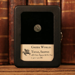 Troas, City of Skepsis, AE Unit, Pegasus & Fir Tree - c. 400 to 300 BCE - Greek World