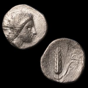 Metapontum, Greek Didrachm, Demeter & Barley - c. 330 to 280 BCE - Magna Graecia, Italy