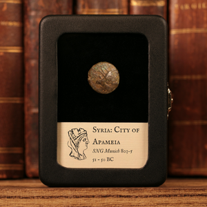 Syria, City of Apameia, AE Unit (Tyche & Nike) - 51 to 50 BCE - Greek World
