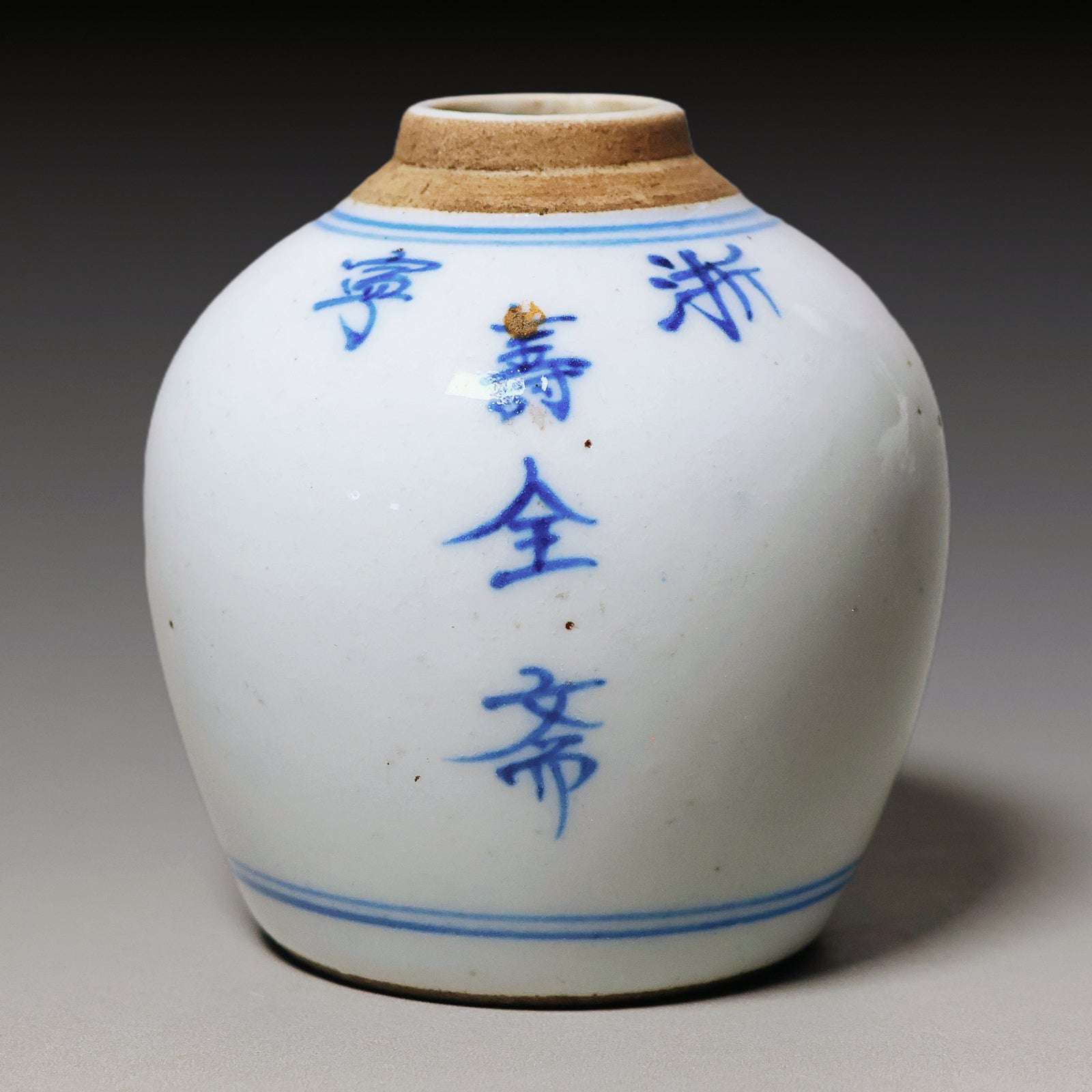 Qing Dynasty, Hand Painted Blue and White Miniature Vase
