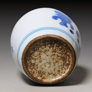 Qing Dynasty, Hand Painted Blue and White Miniature Vase