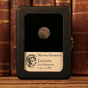 Lucania, City of Metapontum, Bronze Unit, Athena & Owl - 250 to 200 BCE - Magna Graecia (Greek Italy)