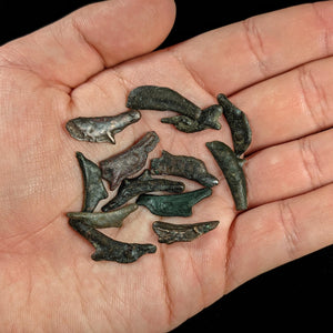 Dolphin Proto-Money - c. 500 BCE - Olbia (Greece)