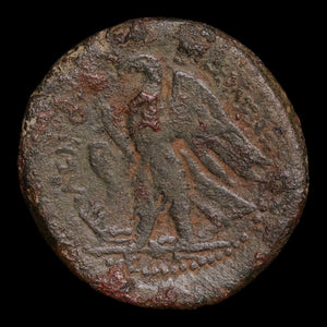Ptolemaic Kingdom of Egypt, Ptolemy II, AE Obol, Alexander the Great & Eagle - 266 to 261 BCE - Ancient Egypt