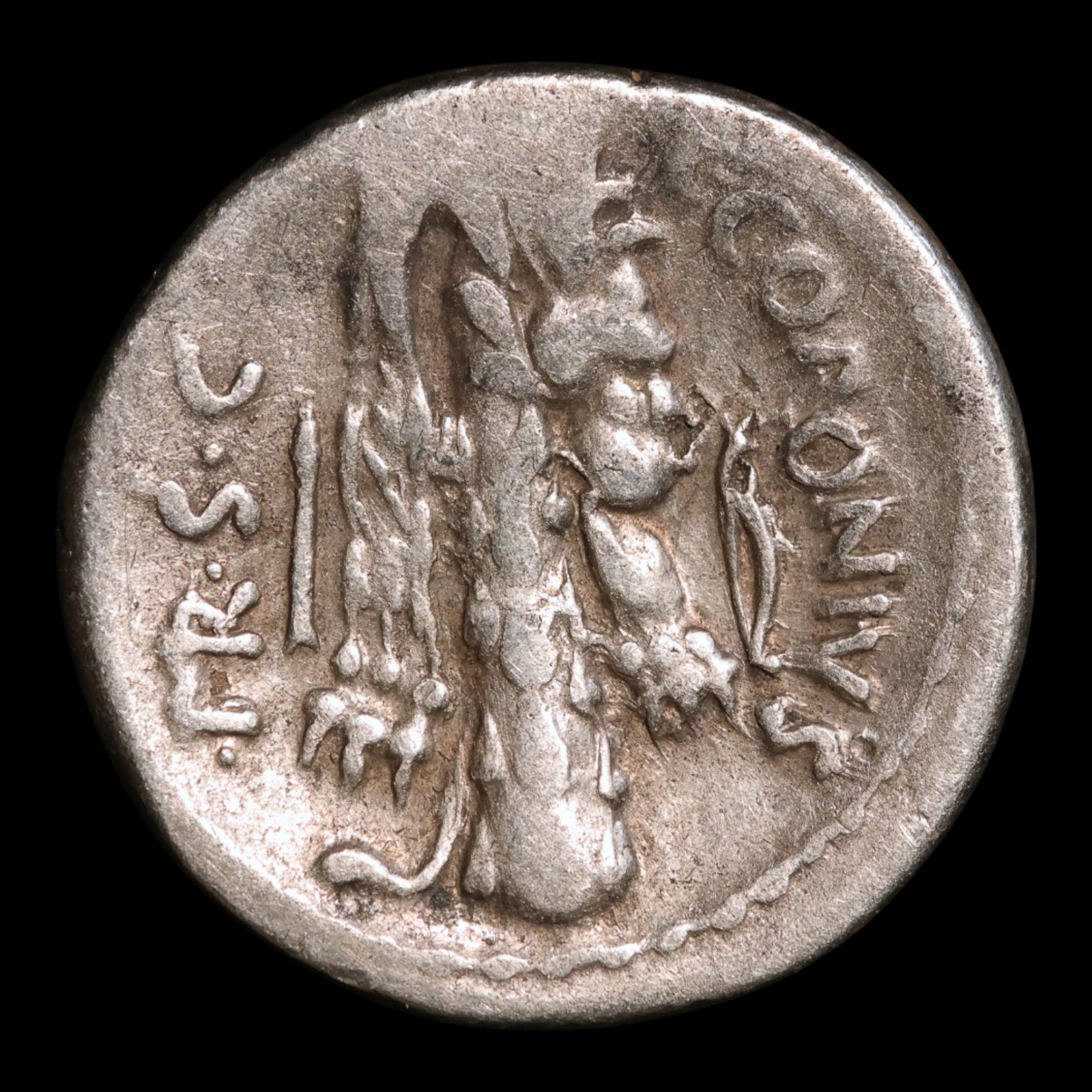 Roman Republic, Q. Sicinius, AR Denarius, Apollo (Major Greek God) - 49 BCE - Roman Republic