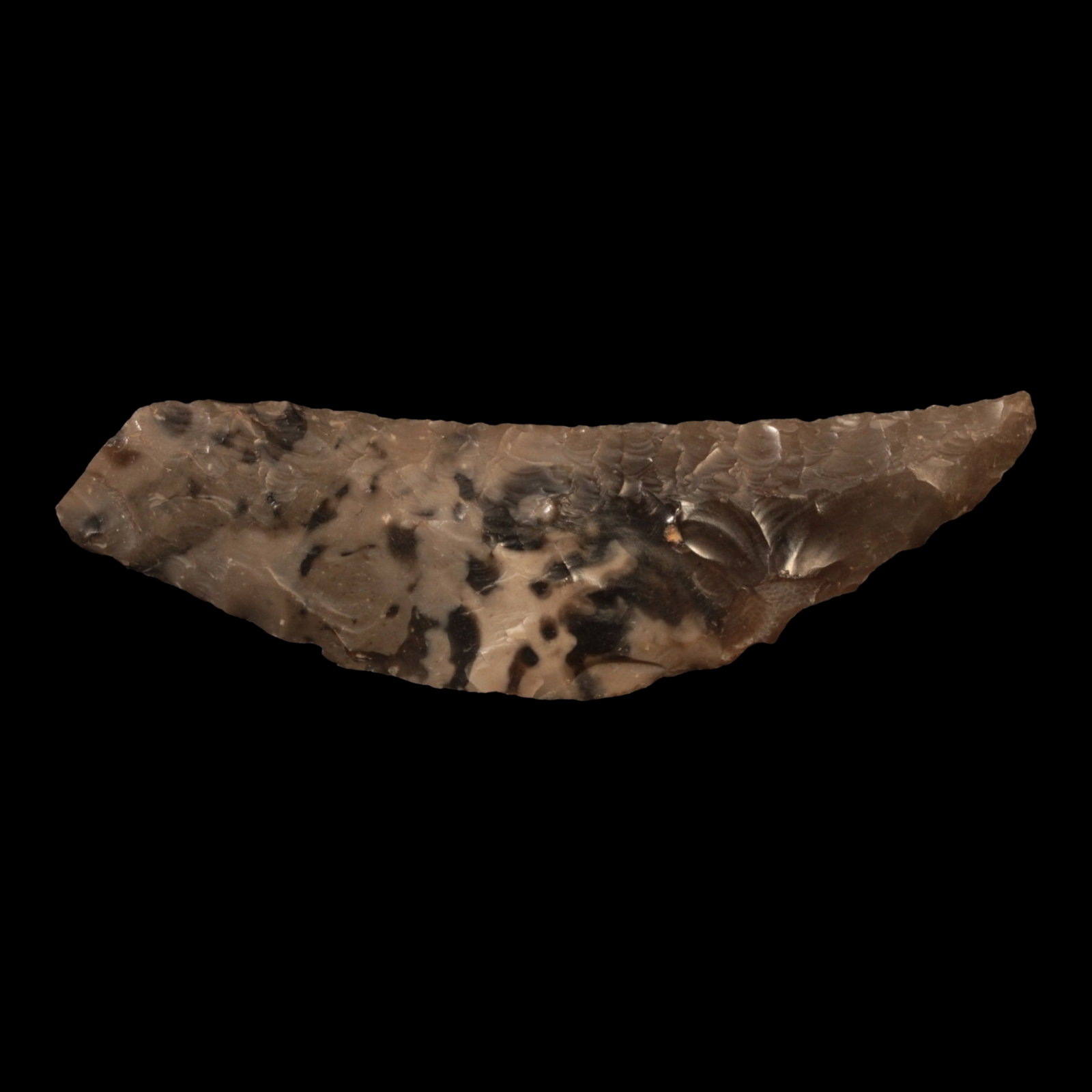 Danish Mesolithic Stone Tool, 3.5 inches (Knife or Dagger) - c. 9000 to 5000 BCE - Denmark - 1/17/23 Auction