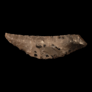Danish Mesolithic Stone Tool, 3.5 inches (Knife or Dagger) - c. 9000 to 5000 BCE - Denmark - 1/17/23 Auction
