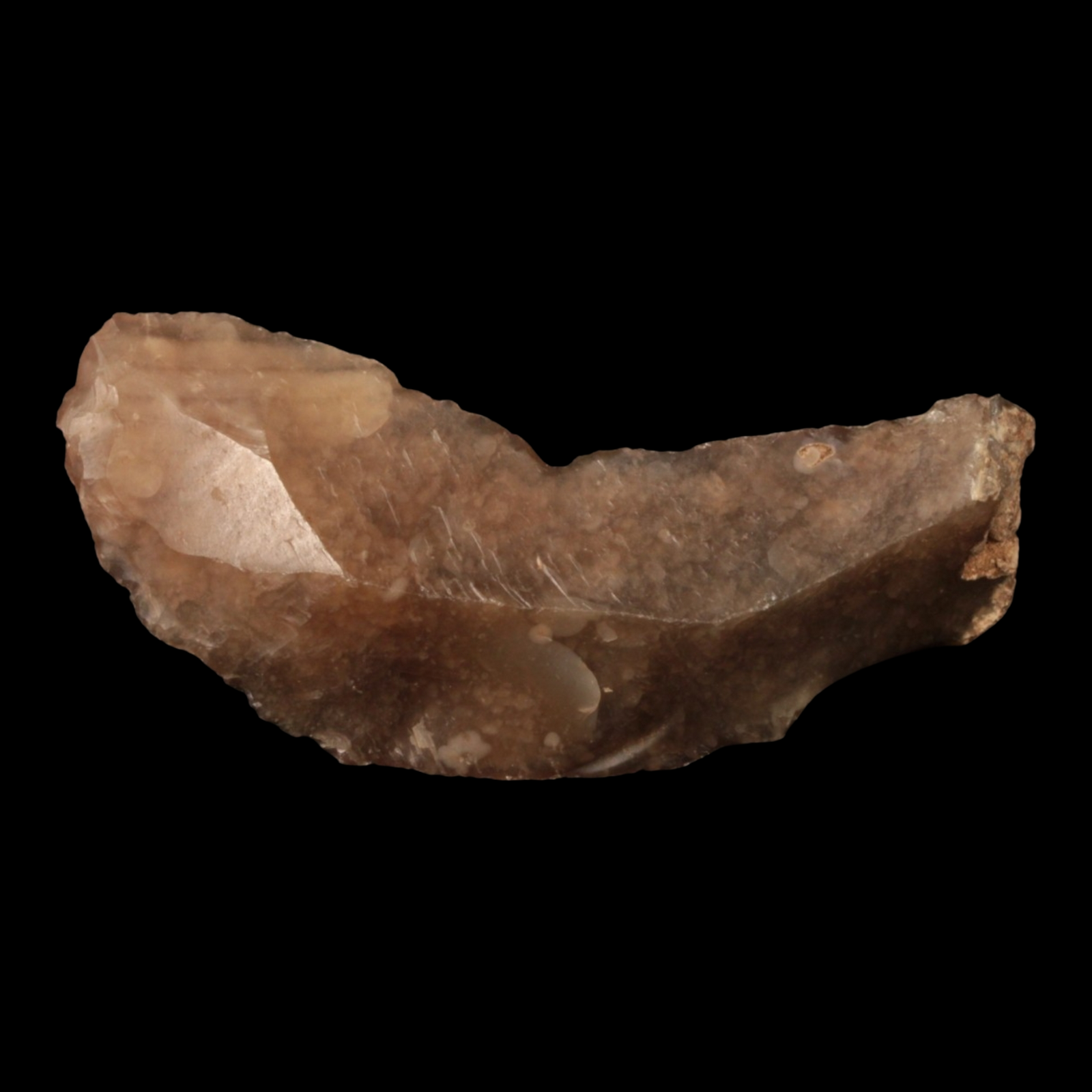 Danish Mesolithic Stone Tool, 2.4 inches (Scraper) - c. 9000 to 5000 BCE - Denmark - 1/17/23 Auction