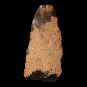 Danish Mesolithic Stone Tool, 1.5 inches - c. 9000 to 5000 BCE - Denmark - 1/17/23 Auction