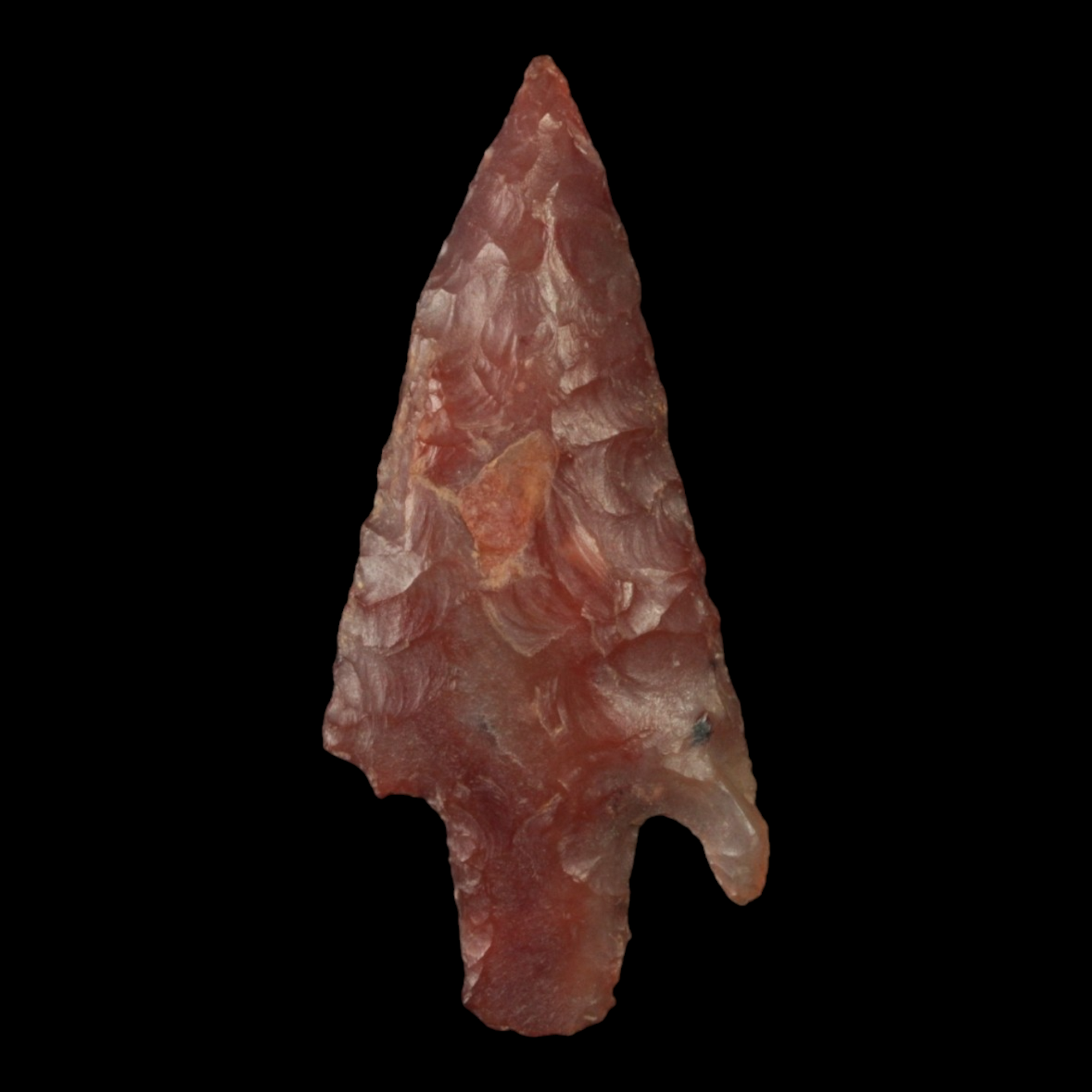 North African Stone Age Arrowhead, 1.6 inches - c. 10,000 to 3000 BCE - North Africa - 1/17/23 Auction