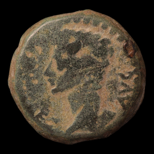Emperor Augustus (Octavian), Roman Provincial (Iulia Traducta, Hispania) - c. 27 to 14 BCE - Roman Empire