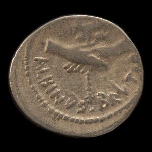 Rome, Brutus Albinus Silver Denarius - 48 BCE - Roman Republic