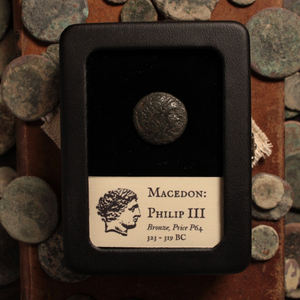 Macedon, King Philip III, Bronze Issue, Apollo & Horse - 323 to 319 BCE - Greek World