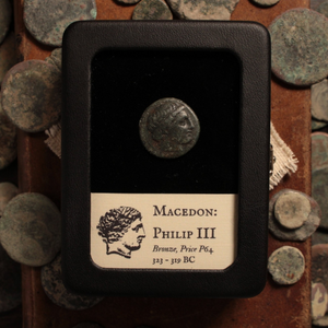 Macedon, King Philip III, Bronze Issue, Apollo & Horse - 323 to 319 BCE - Greek World