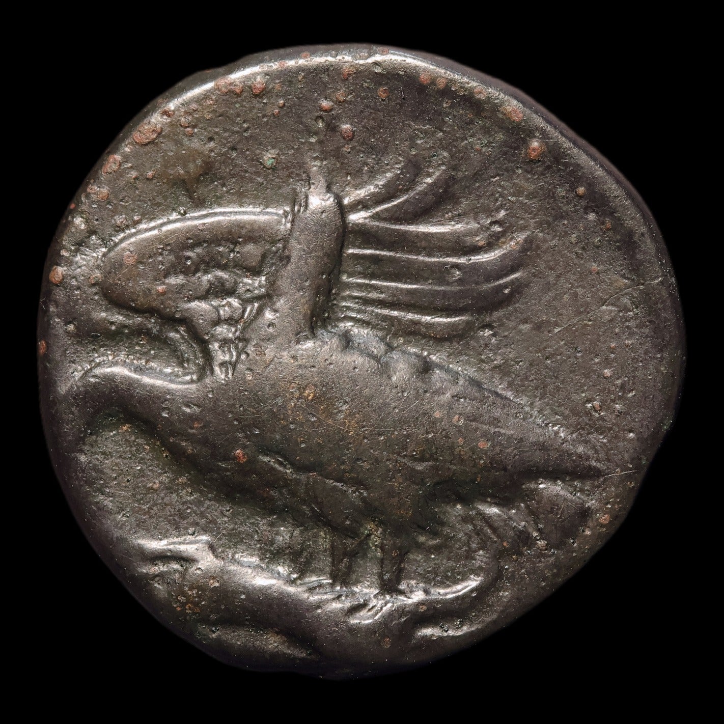 obverse