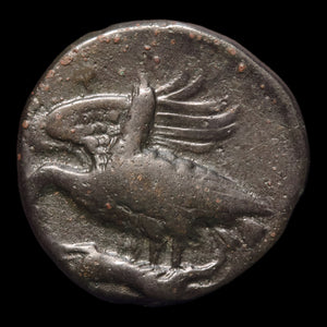 reverse