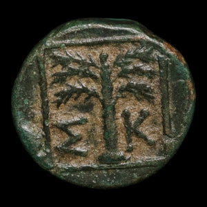 Troas, City of Skepsis, AE Unit, Pegasus & Tree - c. 400 to 300 BCE - Greek World
