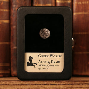 Aeolis, City of Kyme, AE Unit, Amazon Kyme & Horse - 250 to 190 BCE - Greek World
