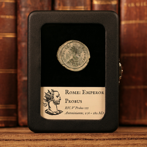 Rome, Emperor Probus, AR Antoninianus, Emperor on Horseback Reverse - 276 to 282 CE - Roman Empire