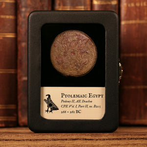 Ptolemaic Kingdom of Egypt, Ptolemy II, AE Drachm, Zeus Ammon & Eagle - 266 to 261 BCE - Ancient Egypt