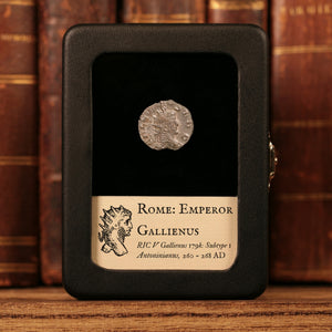 Rome, Emperor Gallienus, AR Antoninianus, Deer (Stag) Reverse - 260 to 268 CE - Roman Empire