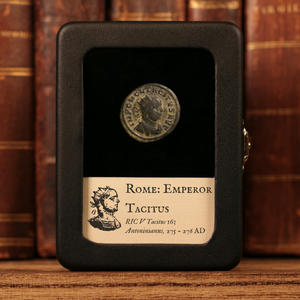 Rome, Tacitus (Rare Emperor), BI Antoninianus, Securitas (Goddess of Security) - 275 to 276 CE - Roman Empire