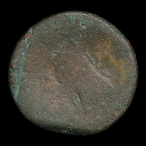 Ptolemaic Kingdom of Egypt, Queen Cleopatra VII, AE Diobol - 51 to 30 BCE - Ancient Egypt