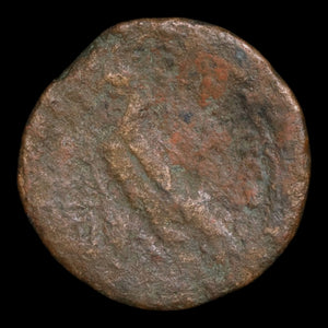Ptolemaic Kingdom of Egypt, Queen Cleopatra VII, AE 40 Drachmae - 51 to 30 BCE - Ancient Egypt