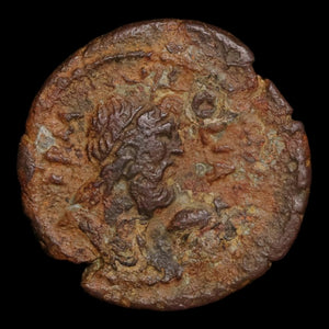 Egypt, Alexandria, Emperor Hadrian, AE Obol, Hermes-Thot (Very Rare Type) - 126 to 127 CE - Roman Provinces