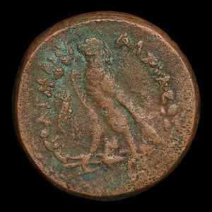 Ptolemaic Kingdom of Egypt, Ptolemy IV Philopator, AE Drachm, Zeus Ammon & Eagle - 222 to 205 BCE - Ancient Egypt