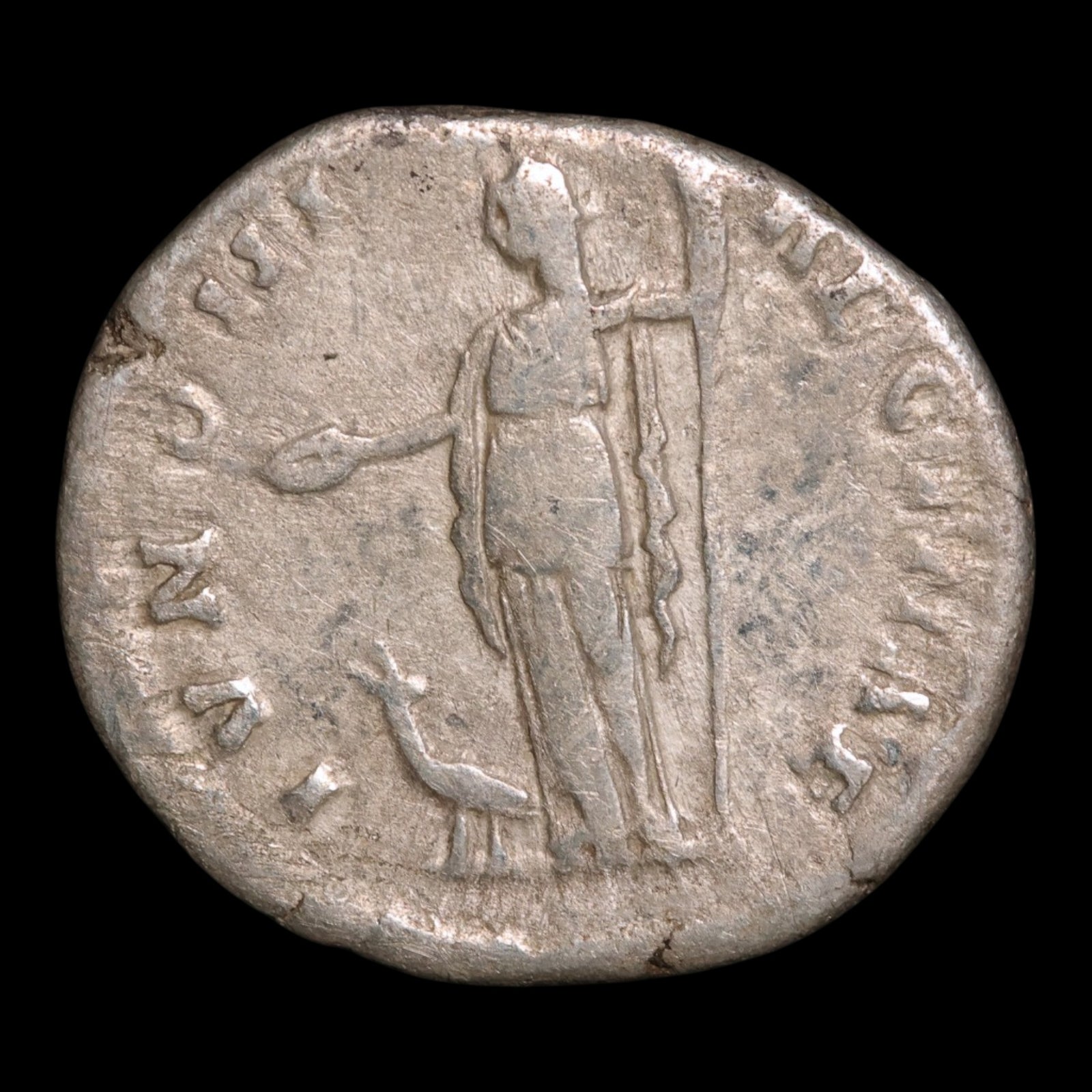 obverse