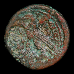 Ptolemaic Kingdom of Egypt, Queen Cleopatra VII, AE Diobol - 51 to 30 BCE - Ancient Egypt