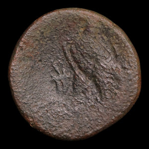 Ptolemaic Kingdom of Egypt, Queen Cleopatra VII, AE Diobol - 51 to 30 BCE - Ancient Egypt
