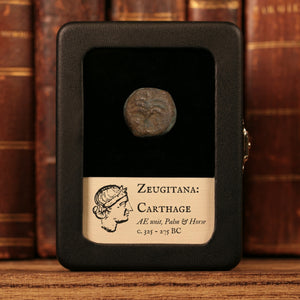 Zeugitana, City of Carthage, AE Unit, Palm & Horse - c. 325 to 275 BCE - Ancient Carthage