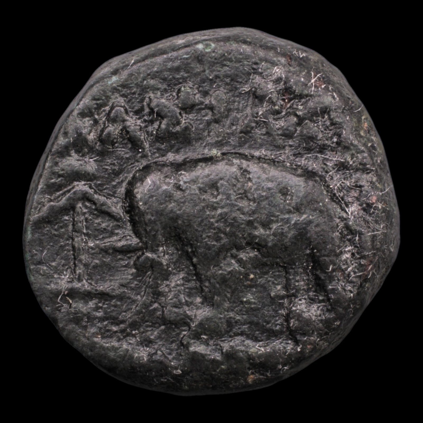 obverse