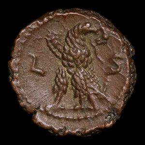 Egypt, Alexandria, Emperor Probus, BI Tetradrachm - 280 to 281 CE - Roman Provinces