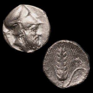 Metapontum, Greek Didrachm, Leukippos & Barley - c. 340 to 330 BCE - Magna Graecia, Italy