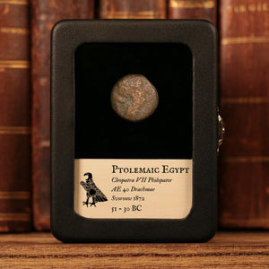 Ptolemaic Kingdom of Egypt, Queen Cleopatra VII, AE 40 Drachmae - 51 to 30 BCE - Ancient Egypt