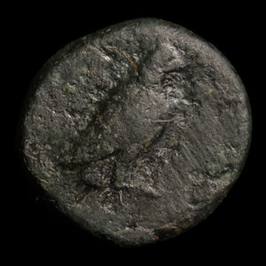 Aeolis, City of Kyme, AE Chalkous - c. 300 to 250 BCE - Greek World
