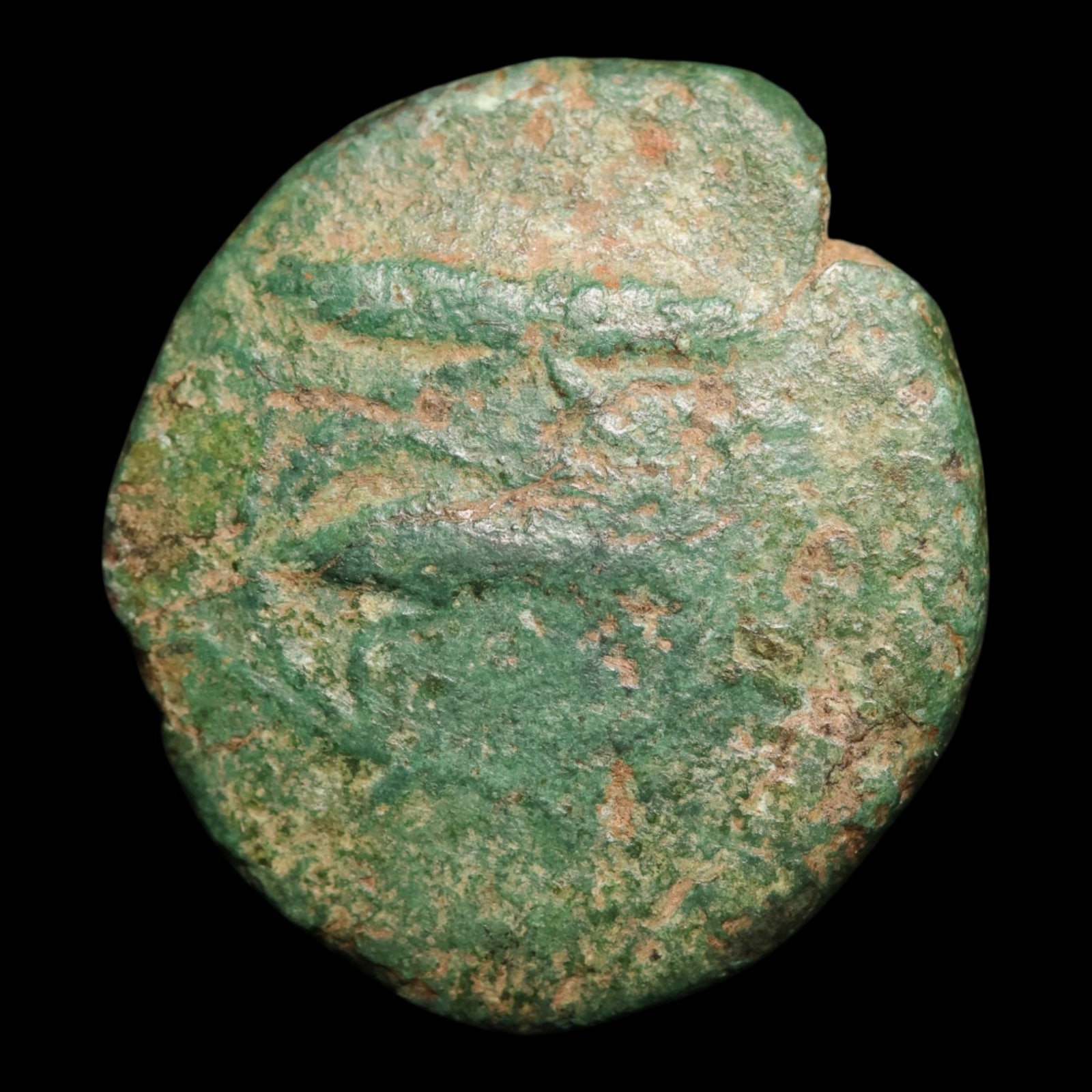 obverse