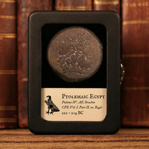 Ptolemaic Kingdom of Egypt, Ptolemy IV Philopator, AE Drachm, Zeus Ammon & Eagle - 222 to 204 BCE - Ancient Egypt