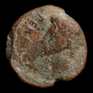 Hispania, Julia Traducta, Augustus (First Emperor of Rome), AE Unit - 31 BCE to 14 CE - Roman Provinces