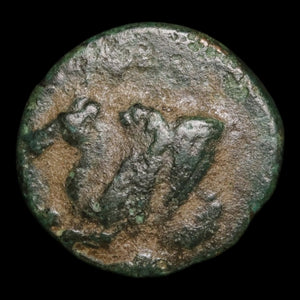 Troas, City of Skepsis, AE Unit, Pegasus & Tree - c. 400 to 300 BCE - Greek World