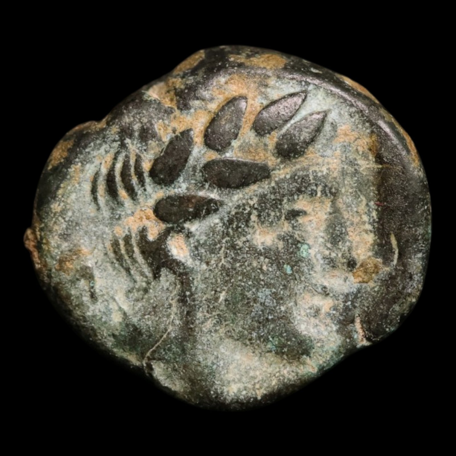 obverse